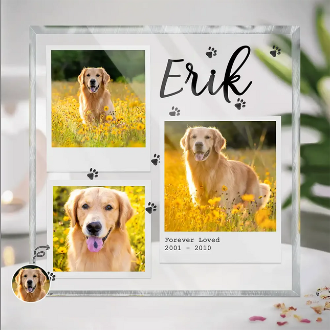 Dog Cat Pet Memorial - Personalized Acrylic Plaque