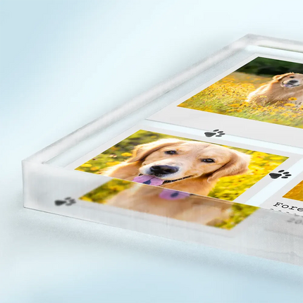 Dog Cat Pet Memorial - Personalized Acrylic Plaque