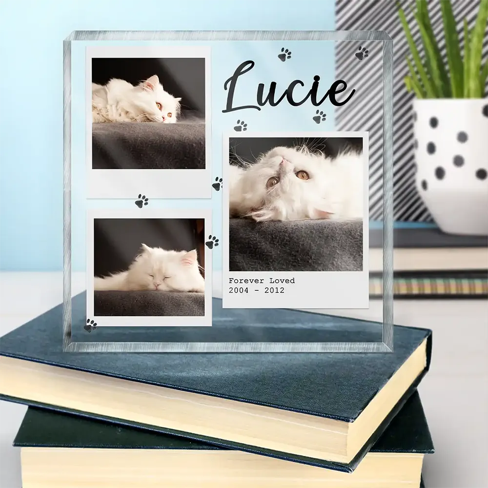 Dog Cat Pet Memorial - Personalized Acrylic Plaque