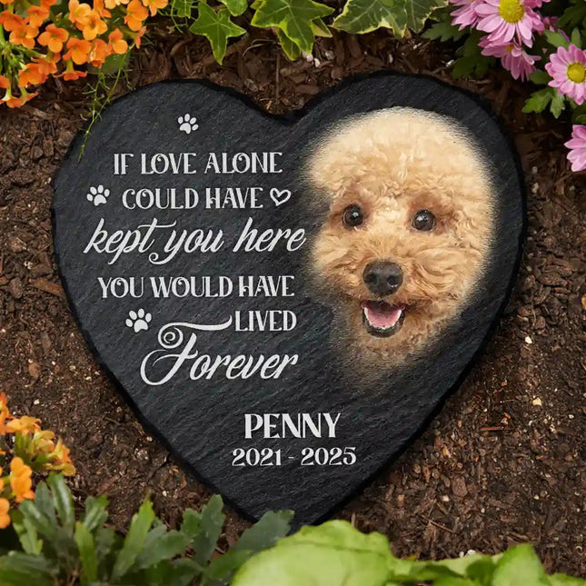 Custom Photo Memorial Dog Cat You Left A Paw Print - Personalized Heart Memorial Garden Stone